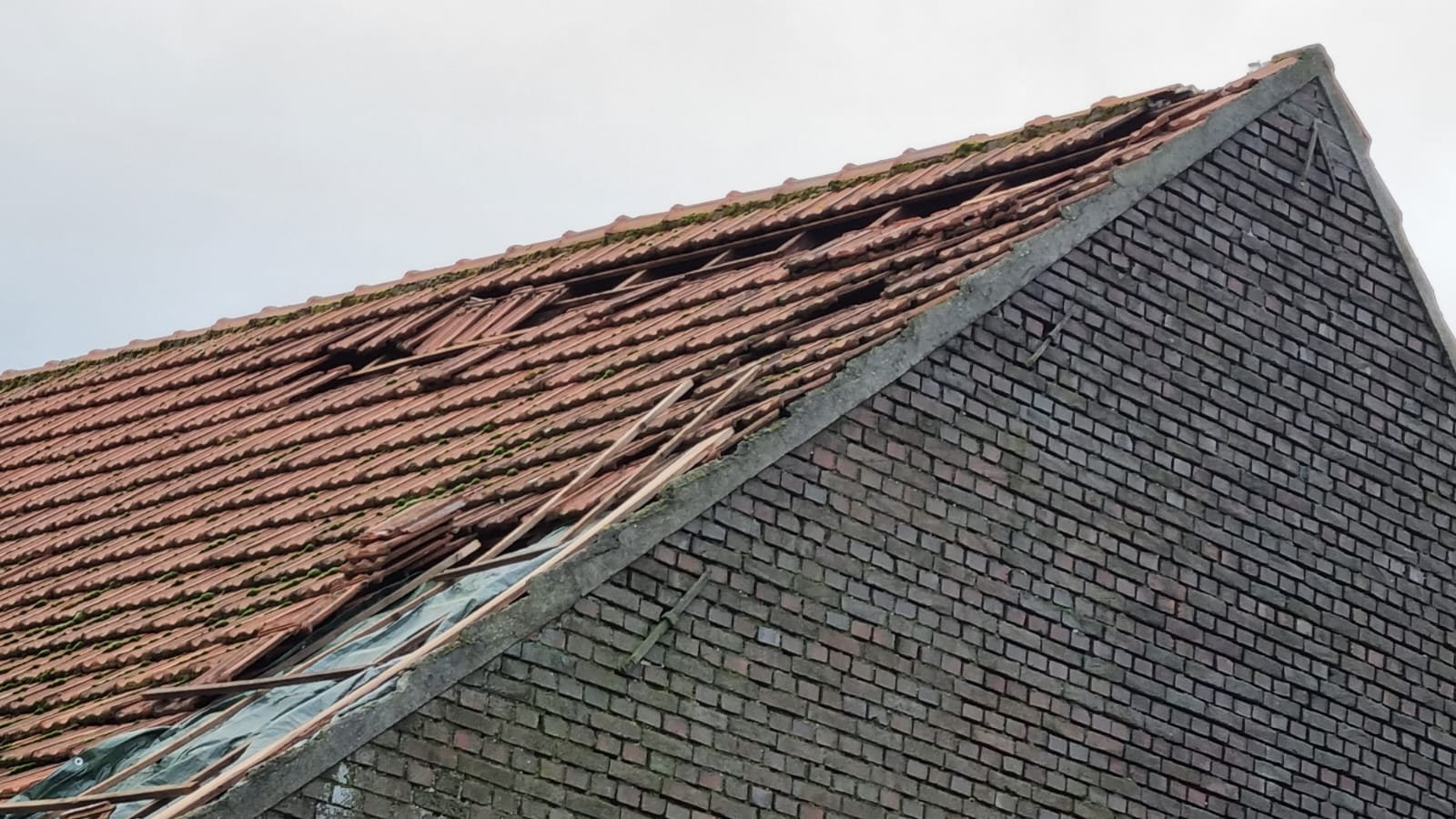 PHOTO 2022 09 26 12 29 044 dak reparatie - Dak Experts 24/7