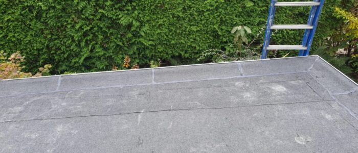 WhatsAppImage2024 04 28at09.13.52 dak reparatie - Dak Experts 24/7